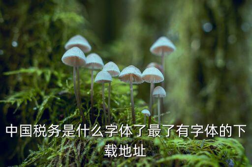 中國稅務(wù)是什么字體，中國稅務(wù)是什么字體了最了有字體的下載地址