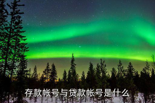 報存款賬號什么意思，到銀行存款 那個存款賬號是什么啊