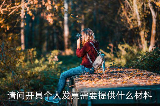 個(gè)人發(fā)票需要什么資料，個(gè)人購(gòu)物開增值稅普通發(fā)票需要什么資料