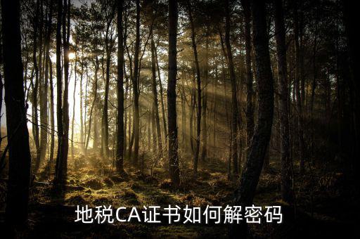 地稅CA證書(shū)如何解密碼