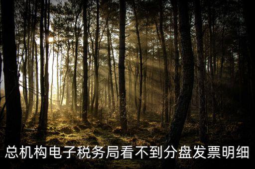 總機構(gòu)電子稅務(wù)局看不到分盤發(fā)票明細(xì)