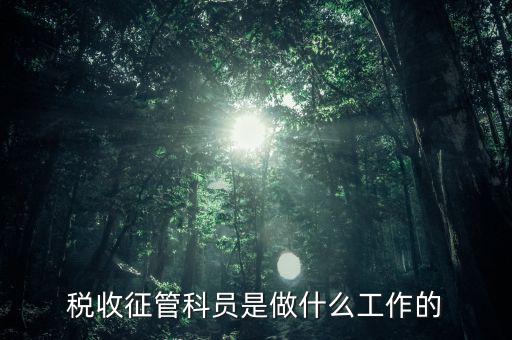 國稅局征管員和企業(yè)要做什么，稅收征管的公務(wù)員主要做什么工作