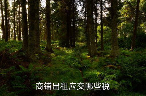 門面租賃稅是什么，商鋪出租應交哪些稅