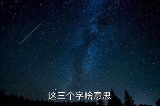 金三系統(tǒng)是什么意思，會(huì)計(jì)證外借給公司掛靠什么也沒(méi)做就被金三系統(tǒng)監(jiān)控了