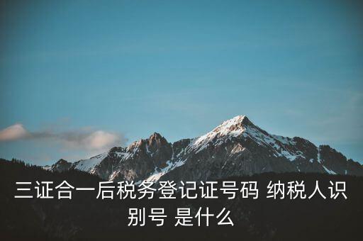 三證合一納稅識(shí)別號(hào)是什么，三證合一后納稅人識(shí)別號(hào)是什么意思