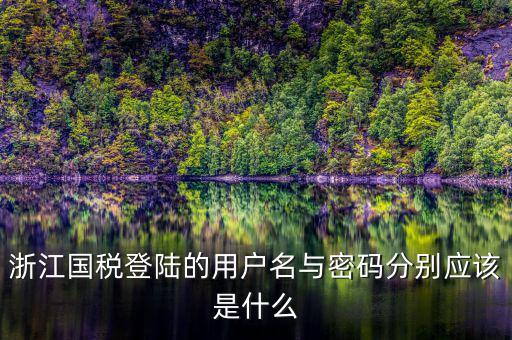 浙江國(guó)稅登陸的用戶(hù)名與密碼分別應(yīng)該是什么