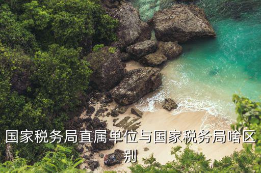國稅局直屬單位是什么意思，國稅局是什么單位