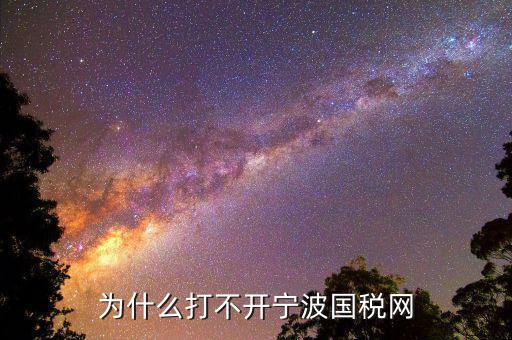 寧波國稅app為什么登陸不上，為什么打不開寧波國稅網(wǎng)
