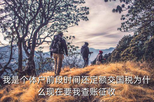 我是個(gè)體戶(hù)前段時(shí)間還定額交國(guó)稅為什么現(xiàn)在要我查賬征收