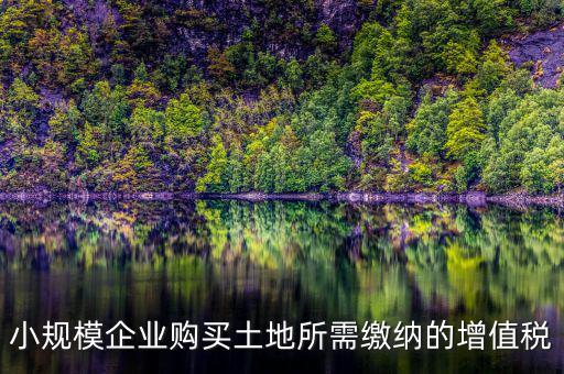 公司購買土地需要交什么稅，小規(guī)模企業(yè)購買土地所需繳納的增值稅