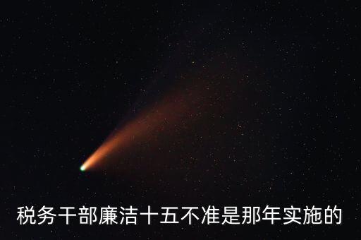 稅務(wù)干部廉潔十五不準是那年實施的
