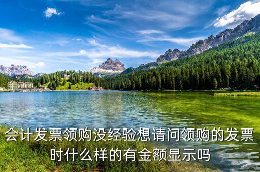 會(huì)計(jì)發(fā)票領(lǐng)購(gòu)沒(méi)經(jīng)驗(yàn)想請(qǐng)問(wèn)領(lǐng)購(gòu)的發(fā)票時(shí)什么樣的有金額顯示嗎