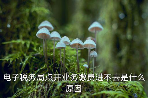 為什么江蘇省電子稅務局進不去，請問電子稅務局登不上去怎么回事