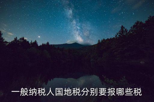 一般納稅人國(guó)地稅分別要報(bào)哪些稅