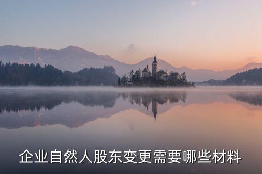 變更自然人登記業(yè)務(wù)需要帶什么，企業(yè)自然人股東變更需要哪些材料