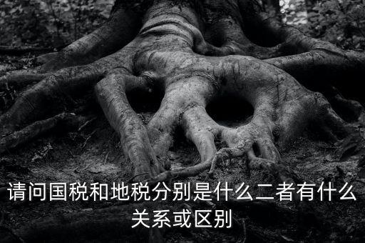 請(qǐng)問國稅和地稅分別是什么二者有什么關(guān)系或區(qū)別