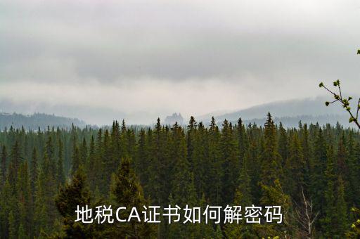 地稅CA證書(shū)如何解密碼