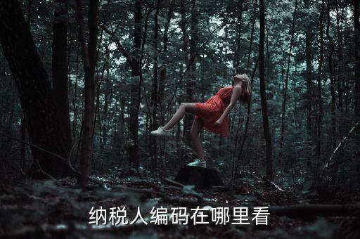 地稅稅源編號(hào)是什么，建筑業(yè)地稅稅源編號(hào)指的是啥
