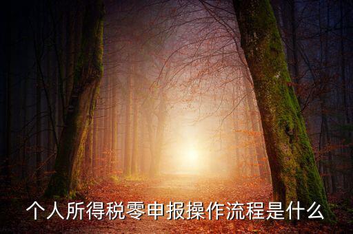 扣繳稅款登記主要流程是什么，納稅流程是怎樣的