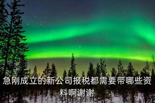 報(bào)稅要帶什么資料，增值稅報(bào)稅都要準(zhǔn)備哪些資料