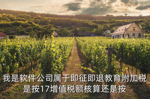 軟件企業(yè)交什么稅，軟件企業(yè)增值稅即征即退指的是什么