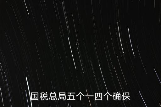 稅務(wù)局五個(gè)一是什么時(shí)候，國稅總局五個(gè)一四個(gè)確保
