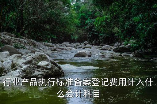 備案費(fèi)入什么科目，行業(yè)產(chǎn)品執(zhí)行標(biāo)準(zhǔn)備案登記費(fèi)用計(jì)入什么會(huì)計(jì)科目