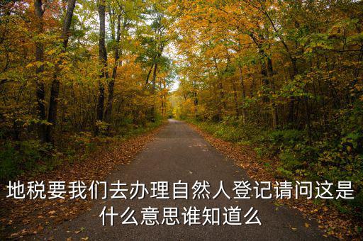 辦稅自然人登記是什么意思，申請人為自然人的是什么意思