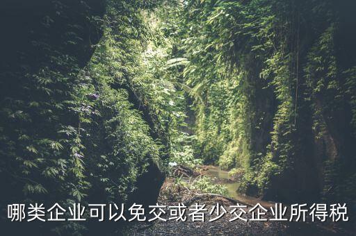 什么情況下企業(yè)可以減免稅收，哪類(lèi)企業(yè)可以免交或者少交企業(yè)所得稅