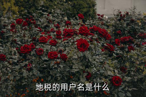 地稅登錄子賬號是什么，地稅的用戶名是什么
