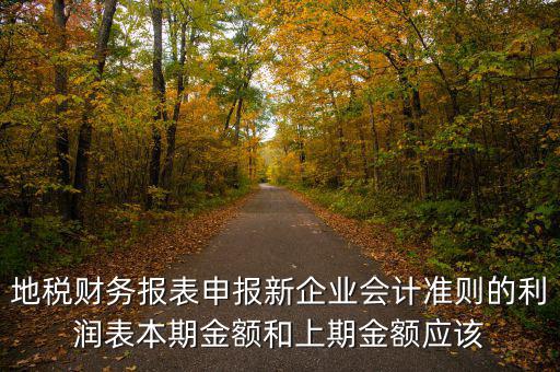 地稅利潤表的上期金額指什么，新會計制度下利潤表中本期金額和上期金額是什么意思