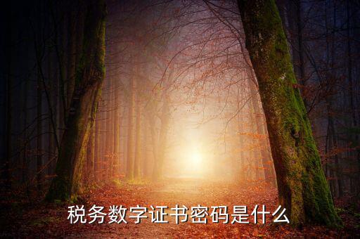 湖北地稅ca登錄密碼是什么意思，地稅CA證書如何解密碼