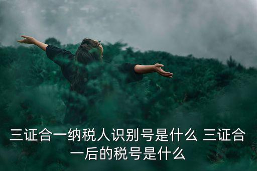三證合一后稅號(hào)是什么，三證合一納稅人識(shí)別號(hào)是什么 三證合一后的稅號(hào)是什么