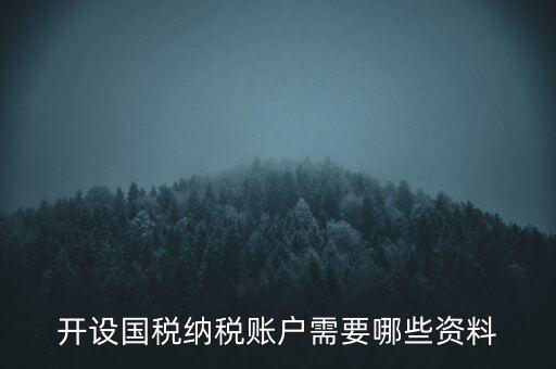 開國稅都需要帶什么資料，開設(shè)國稅納稅賬戶需要哪些資料