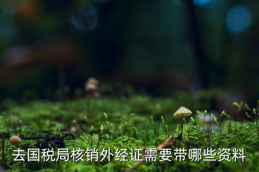 核銷外經(jīng)證地稅那做什么，去國(guó)稅局核銷外經(jīng)證需要帶哪些資料