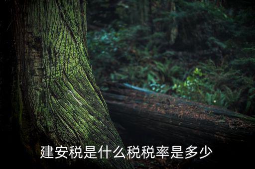 建安稅按什么征，營改增后建安稅稅種稅率有哪些
