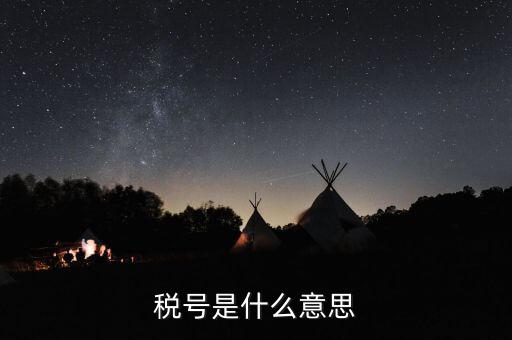 金稅盤(pán)企業(yè)稅號(hào)是什么意思，公司稅號(hào)是什么