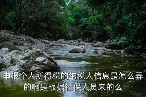 納稅人信息包括什么，申報(bào)個(gè)人所得稅的納稅人信息是怎么弄的啊是根據(jù)社保人員來的么