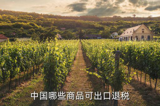 什么貨物出口可以退稅，中國(guó)哪些商品可出口退稅