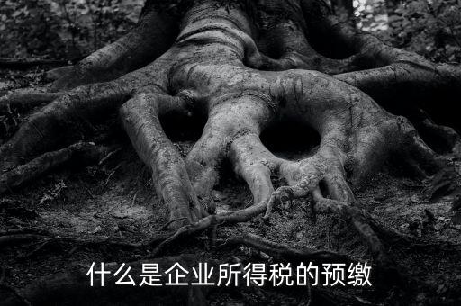 什么是預(yù)交企業(yè)所得稅，什么是企業(yè)所得稅的預(yù)繳