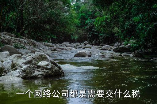 互聯(lián)網(wǎng)公司交什么稅，做互聯(lián)網(wǎng)服務(wù)行業(yè)要交多少稅