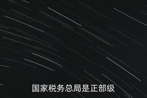 稅務(wù)大廳主任什么級別，金河鎮(zhèn)稅務(wù)務(wù)局局長是什么級別