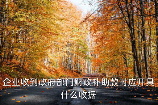 企業(yè)收到政府部門財(cái)政補(bǔ)助款時應(yīng)開具什么收據(jù)
