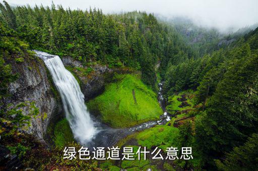 稅務(wù)綠色通道是什么意思，綠色通道是什么意思