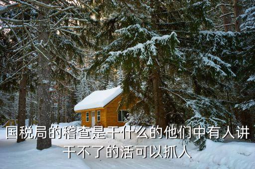 稅務(wù)稽查屬于什么工作，國稅局稽查局工作是干什么