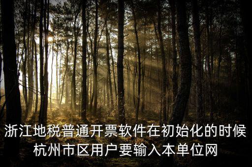 浙江網(wǎng)上稅務局的注冊碼是什么，浙江地稅因特網(wǎng)辦稅服務系統(tǒng)注冊碼過期