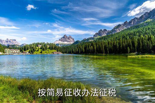 什么是簡易辦法征收，采用簡易辦法征收增值稅到一般納稅人可以按6或4征收增值稅這