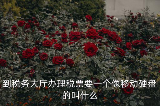 稅務(wù)磁盤什么樣，我要正確的答案