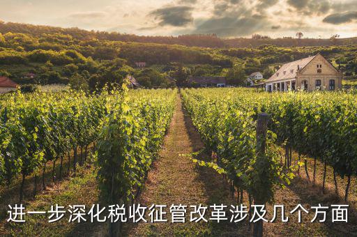 稅務(wù)改革 發(fā)展要什么，論述個人所得稅改革的基本原則