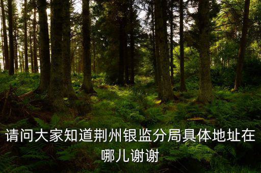 荊州稅務(wù)局在什么地方，請(qǐng)問(wèn)大家知道荊州銀監(jiān)分局具體地址在哪兒謝謝